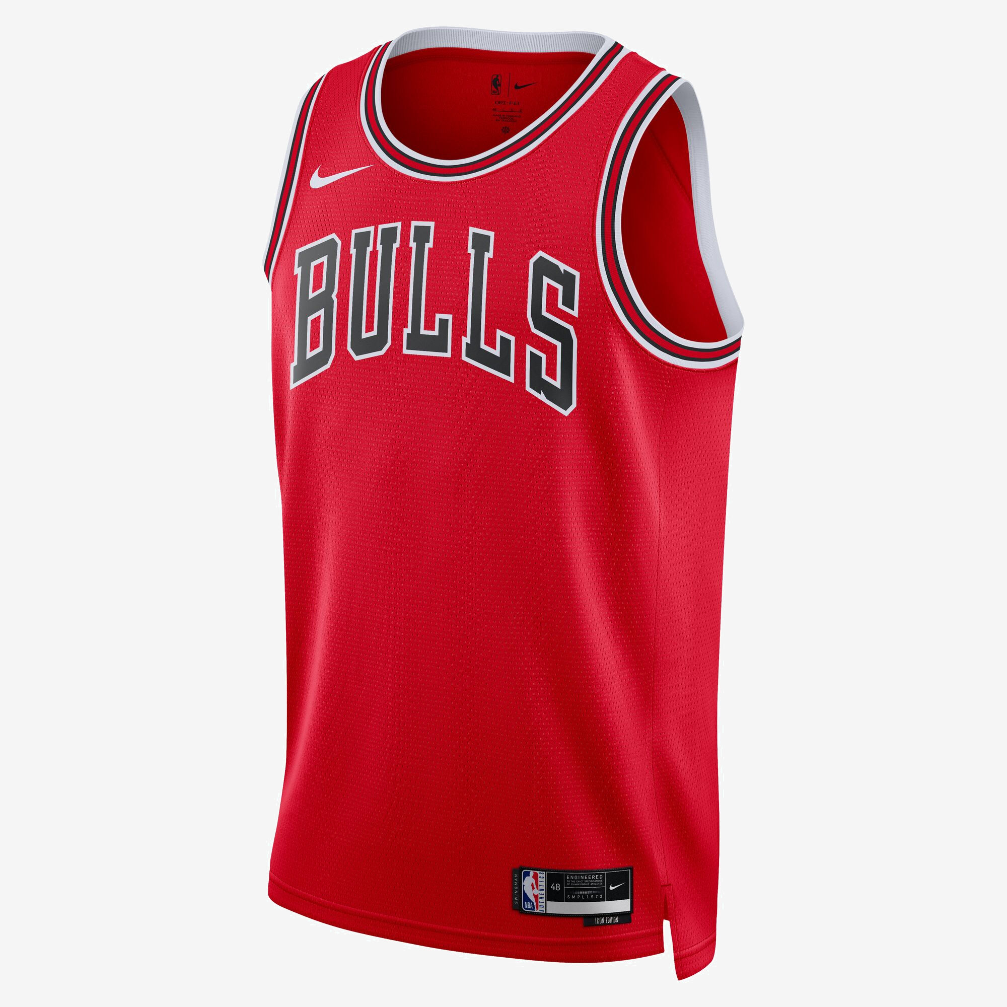 Chicago Bulls Icon Edition image number 0