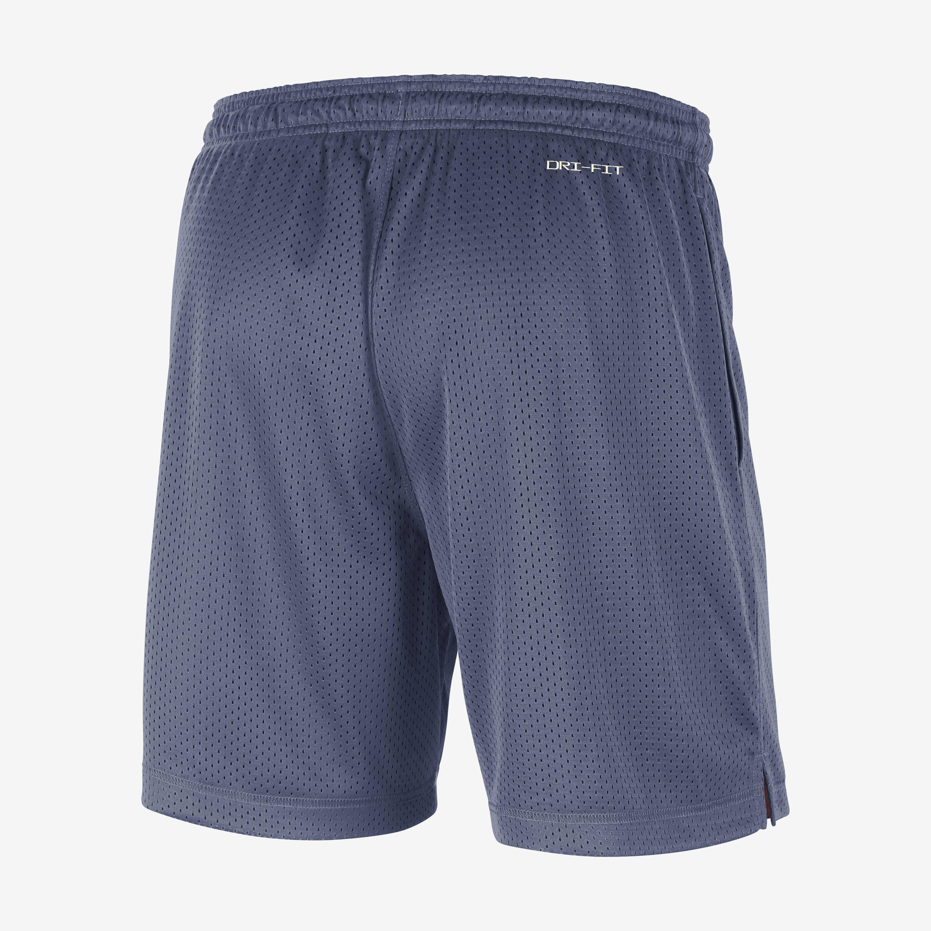 Buy Team 31 Standard Issue Men s Nike Dri FIT NBA Reversible Shorts Nike UAE Official