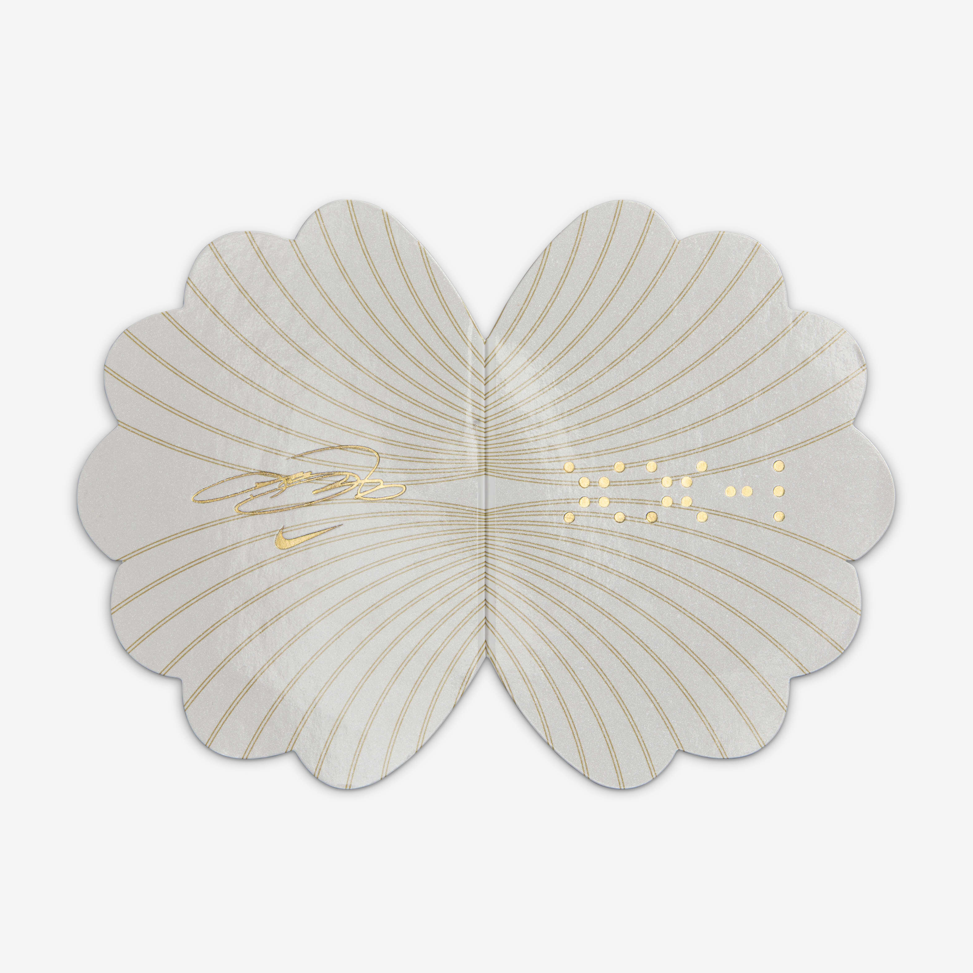 ليبرون XXI image number 9