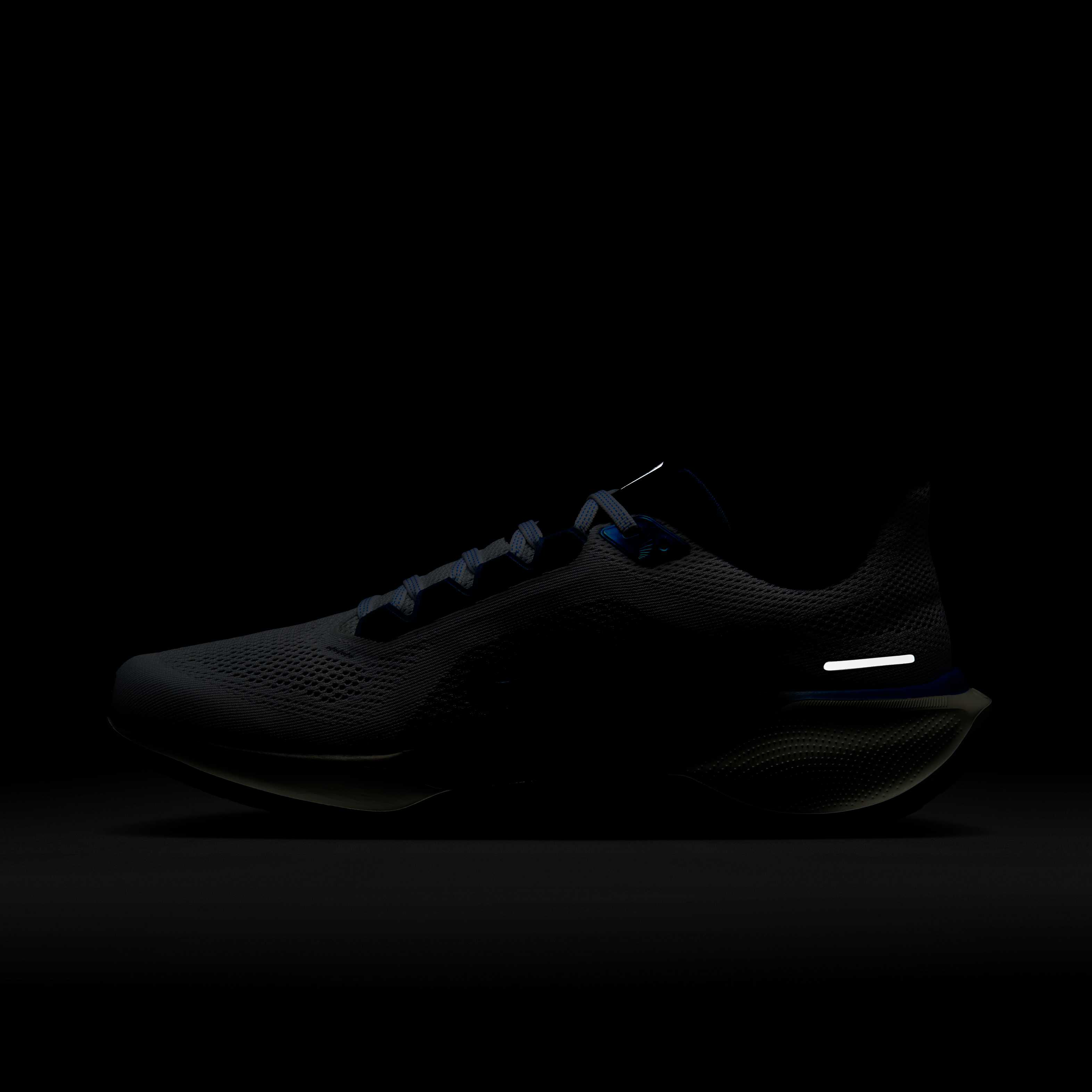 نايكي بيجاسوس 41 image number 11