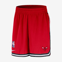 Chicago Bulls DNA