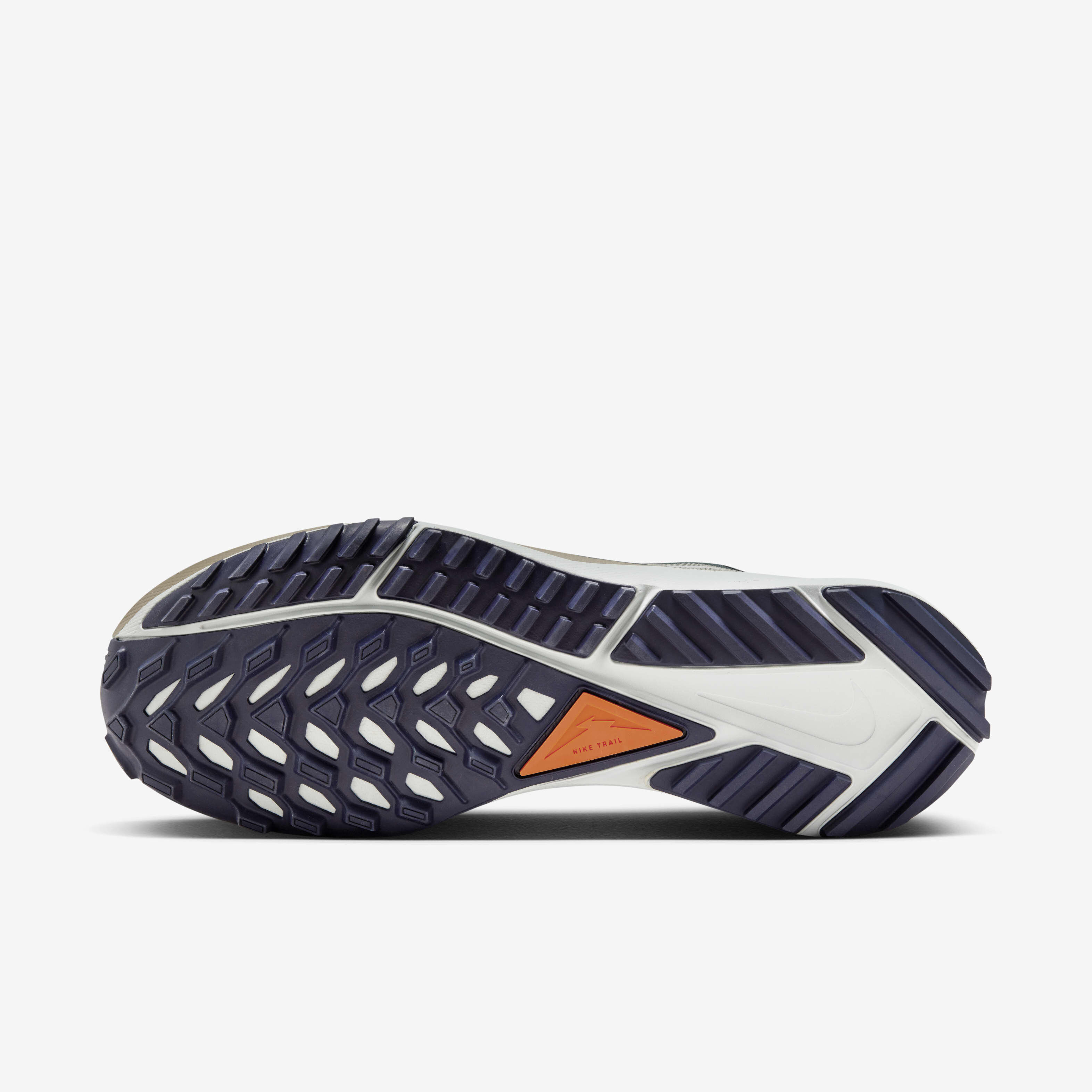 Nike Pegasus Trail 4 GORE-TEX image number 1