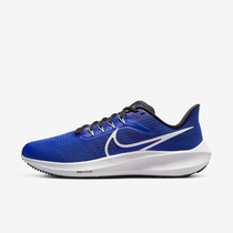 Nike Pegasus 39