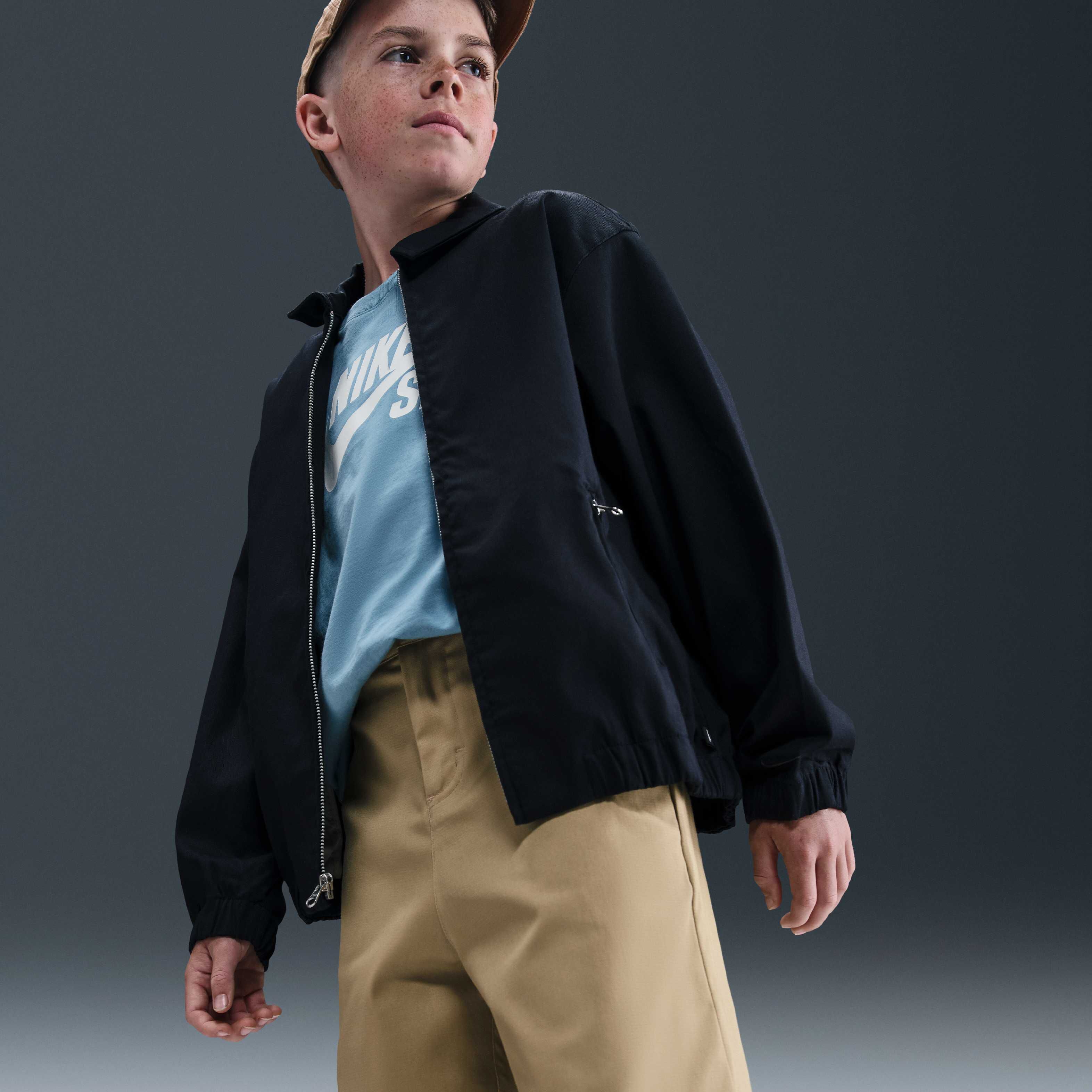 Nike SB image number 4