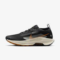 Nike Pegasus Trail 5 GORE-TEX