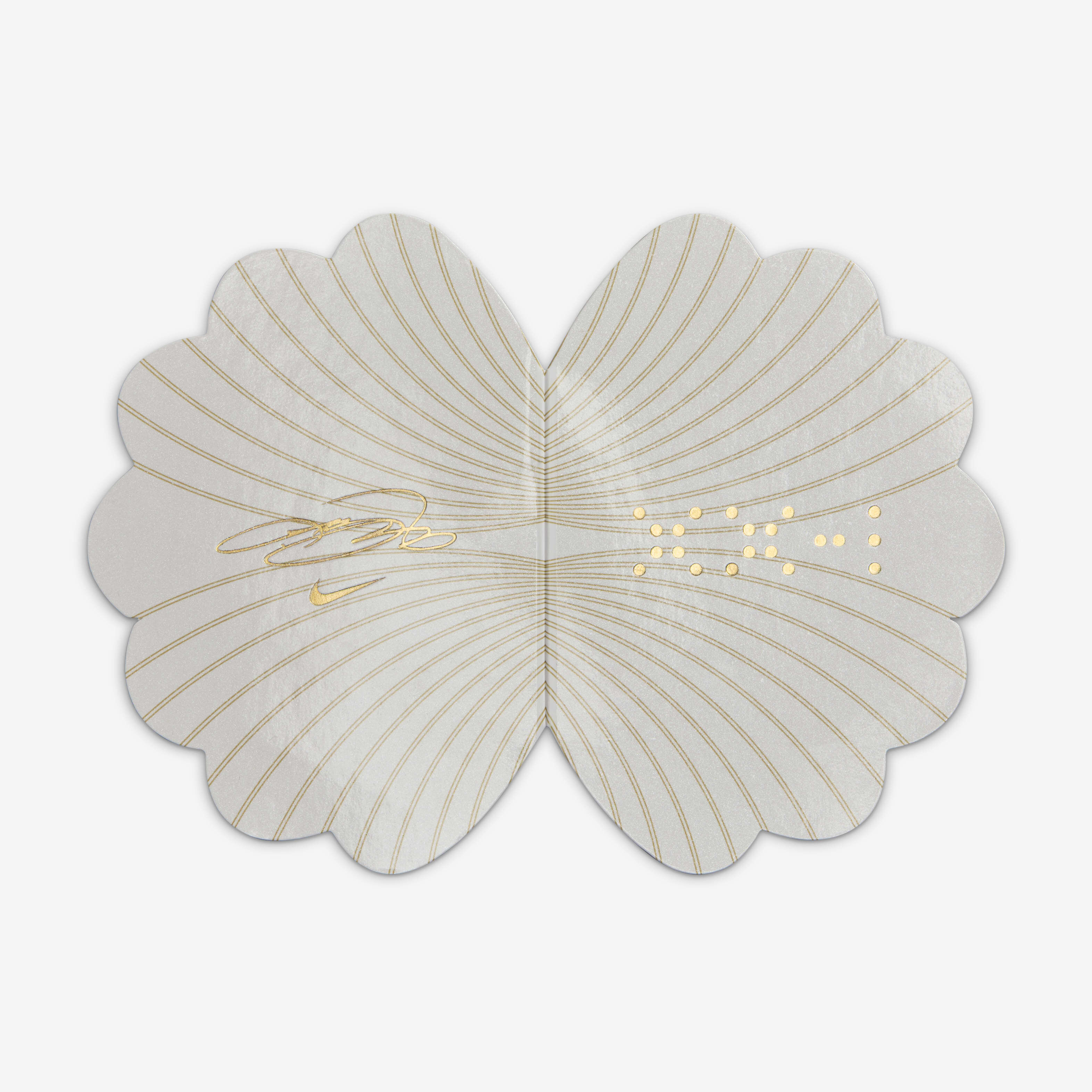 ليبرون XXI image number 9