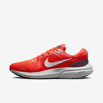 Nike Vomero 16