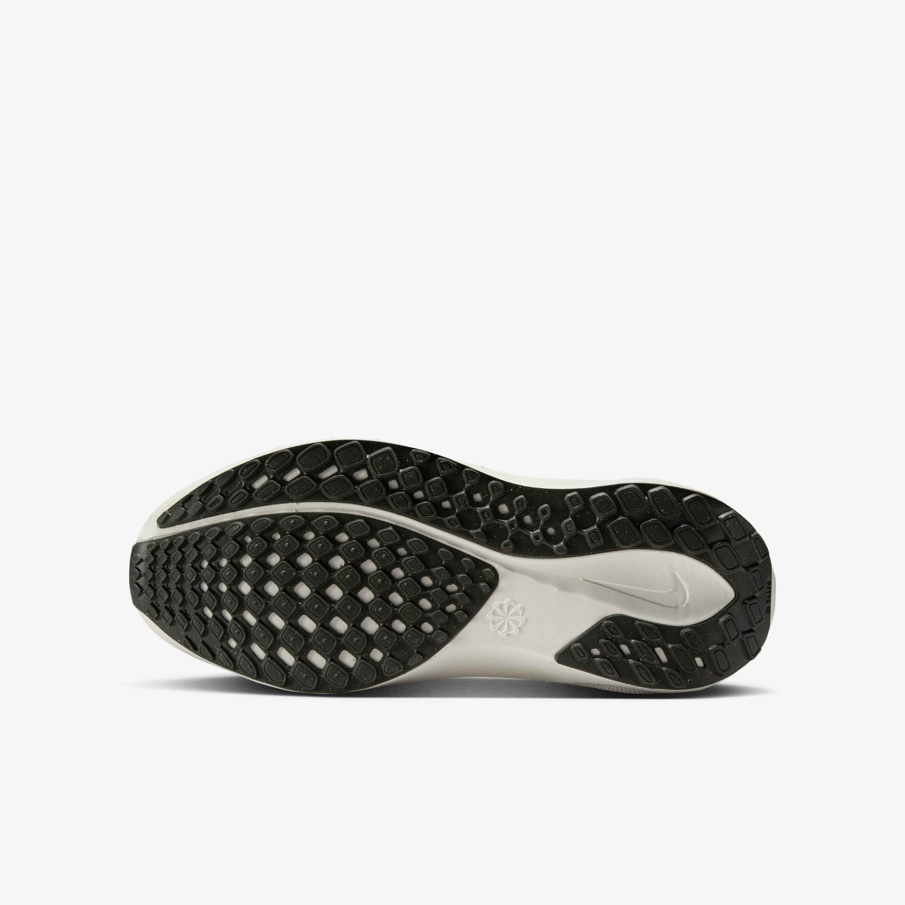 نايكي بيجاسوس 41 image number 1