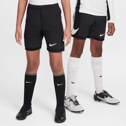 نايكي أكاديمي