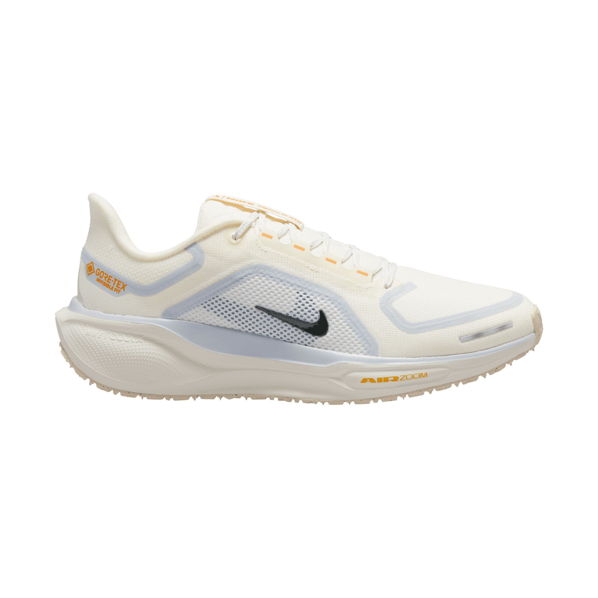 Nike Pegasus 41 GORE-TEX image number 1
