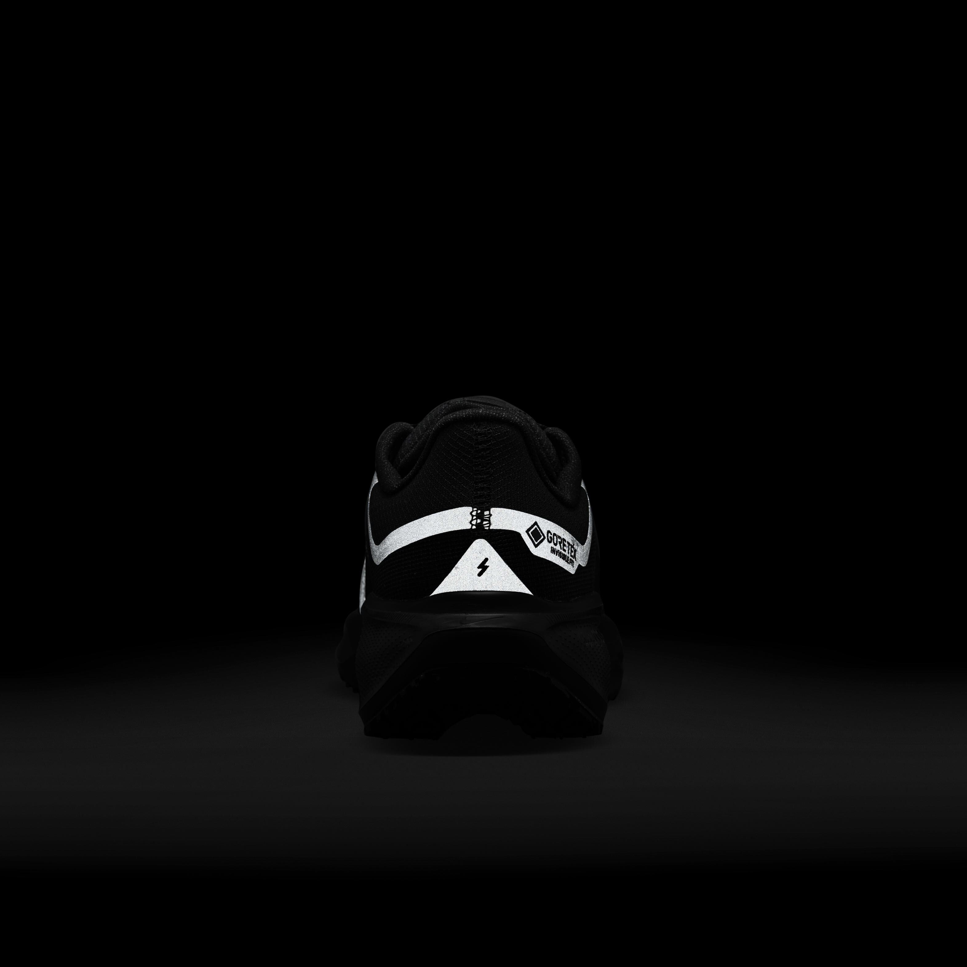 نايكي بيجاسوس 41 جور-تكس image number 9