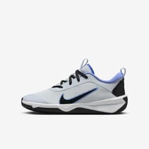 Nike Omni Multi-Court