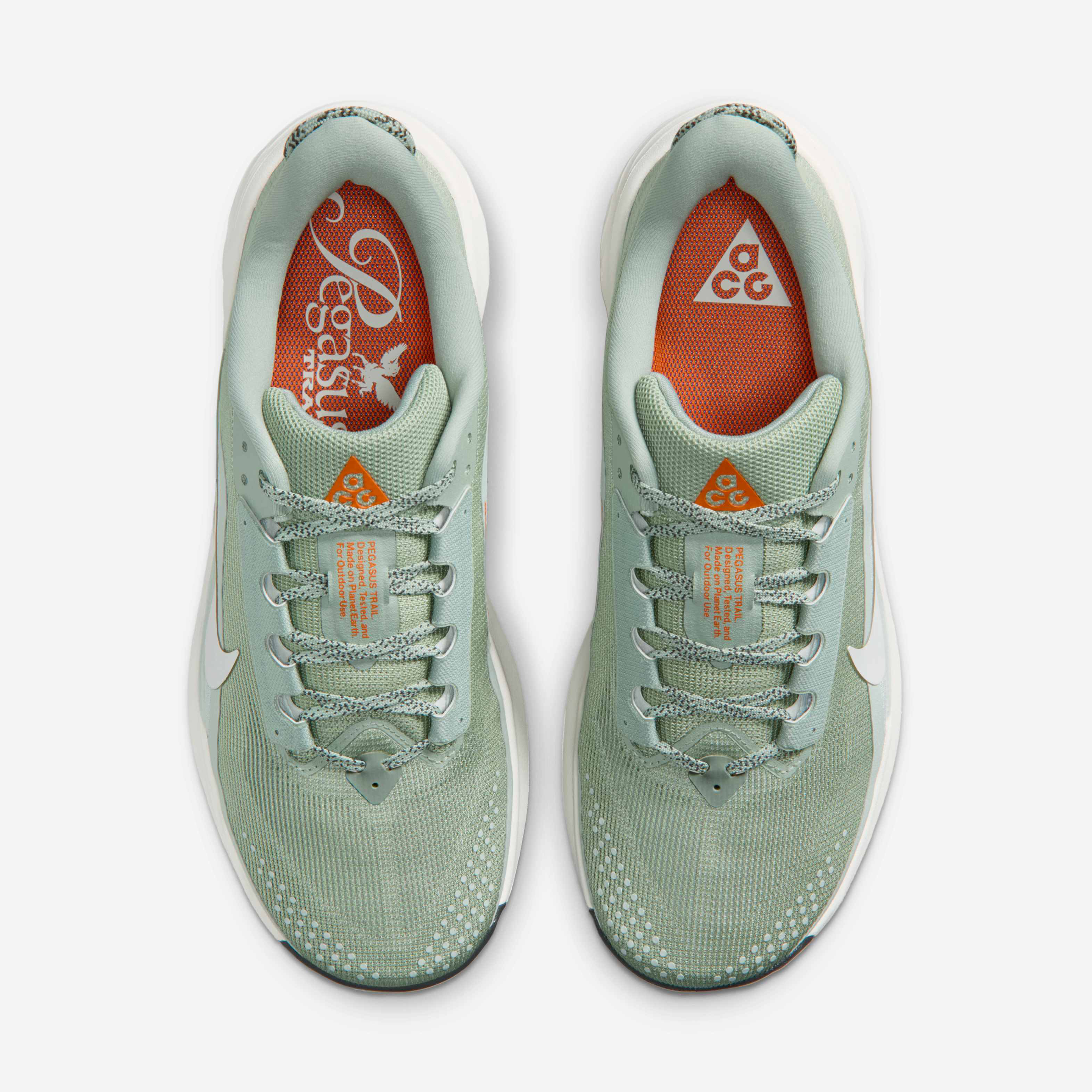 Nike ACG Pegasus Trail image number 3