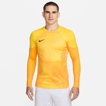 Nike Dri-FIT Gardien 4 Goalkeeper