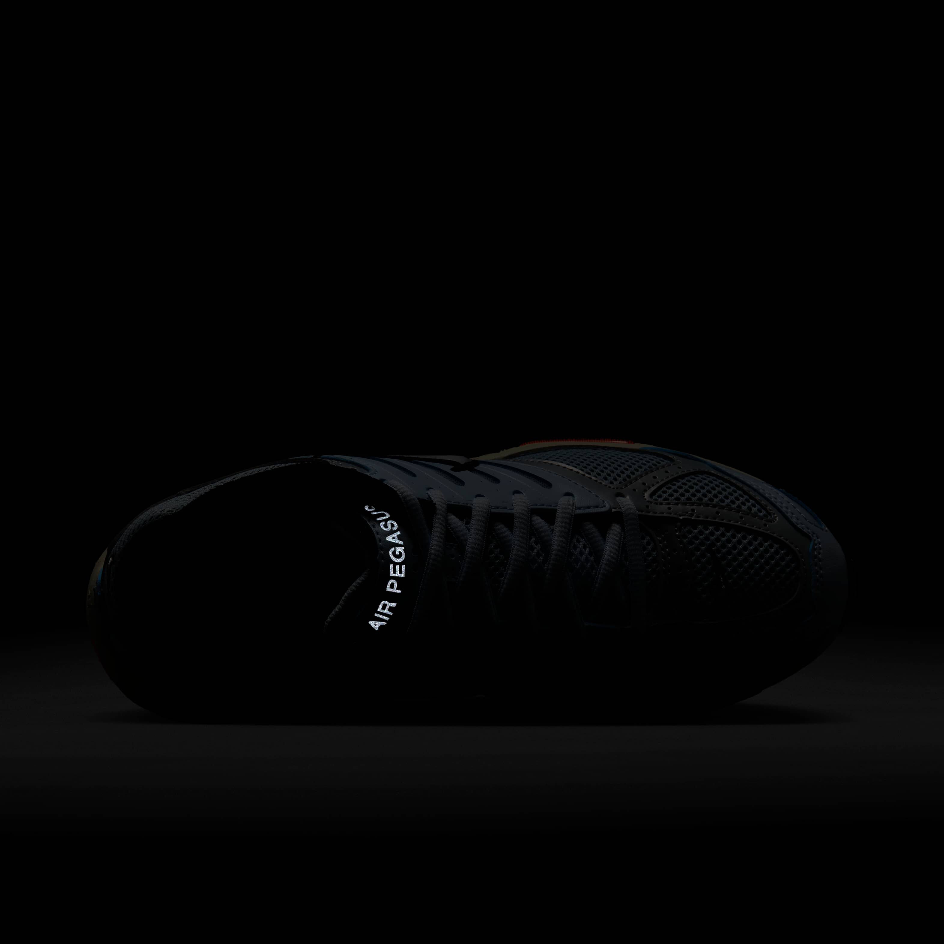 نايكي اير بيجاسوس 2005 image number 8