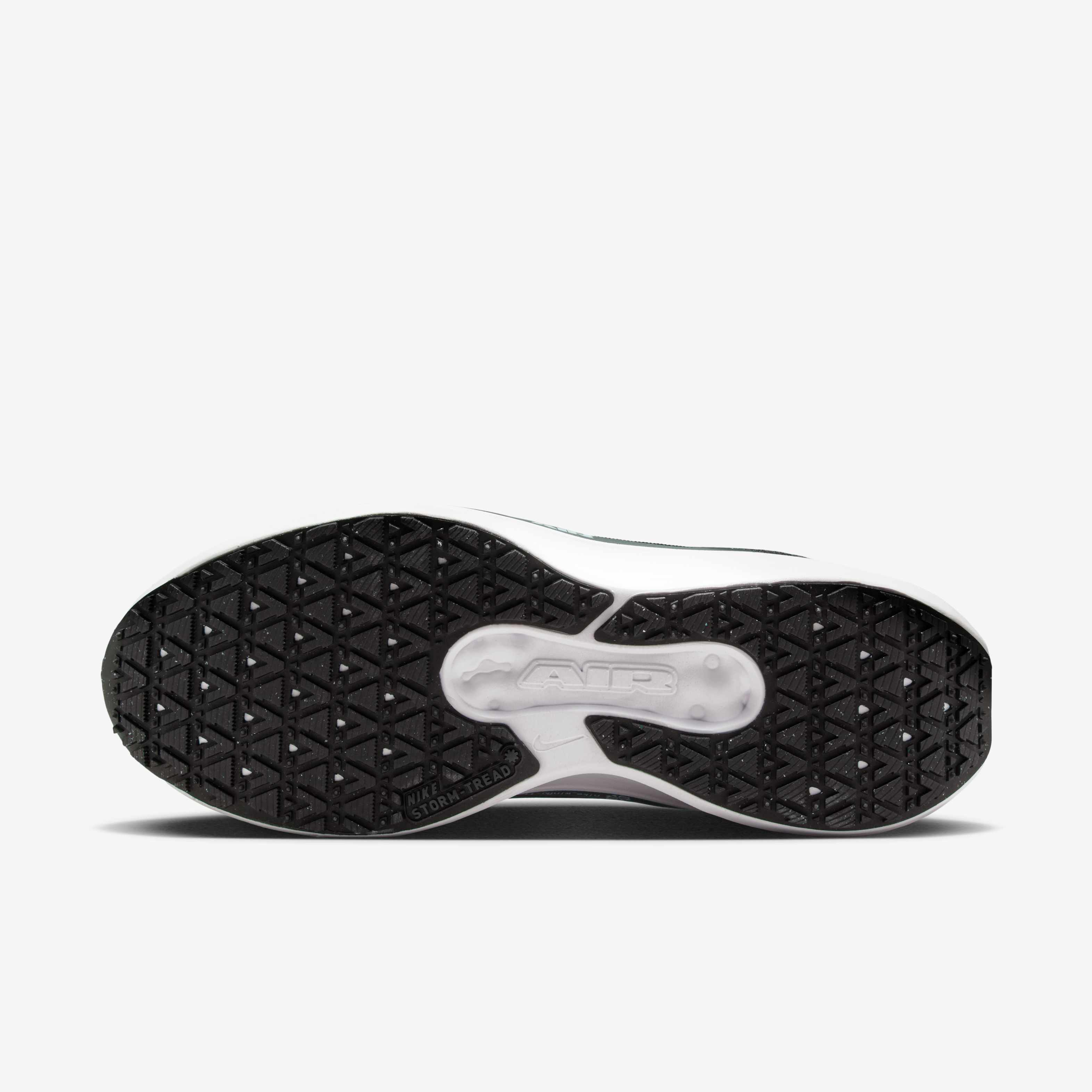 نايكي وينفلو 11 GORE-TEX image number 1