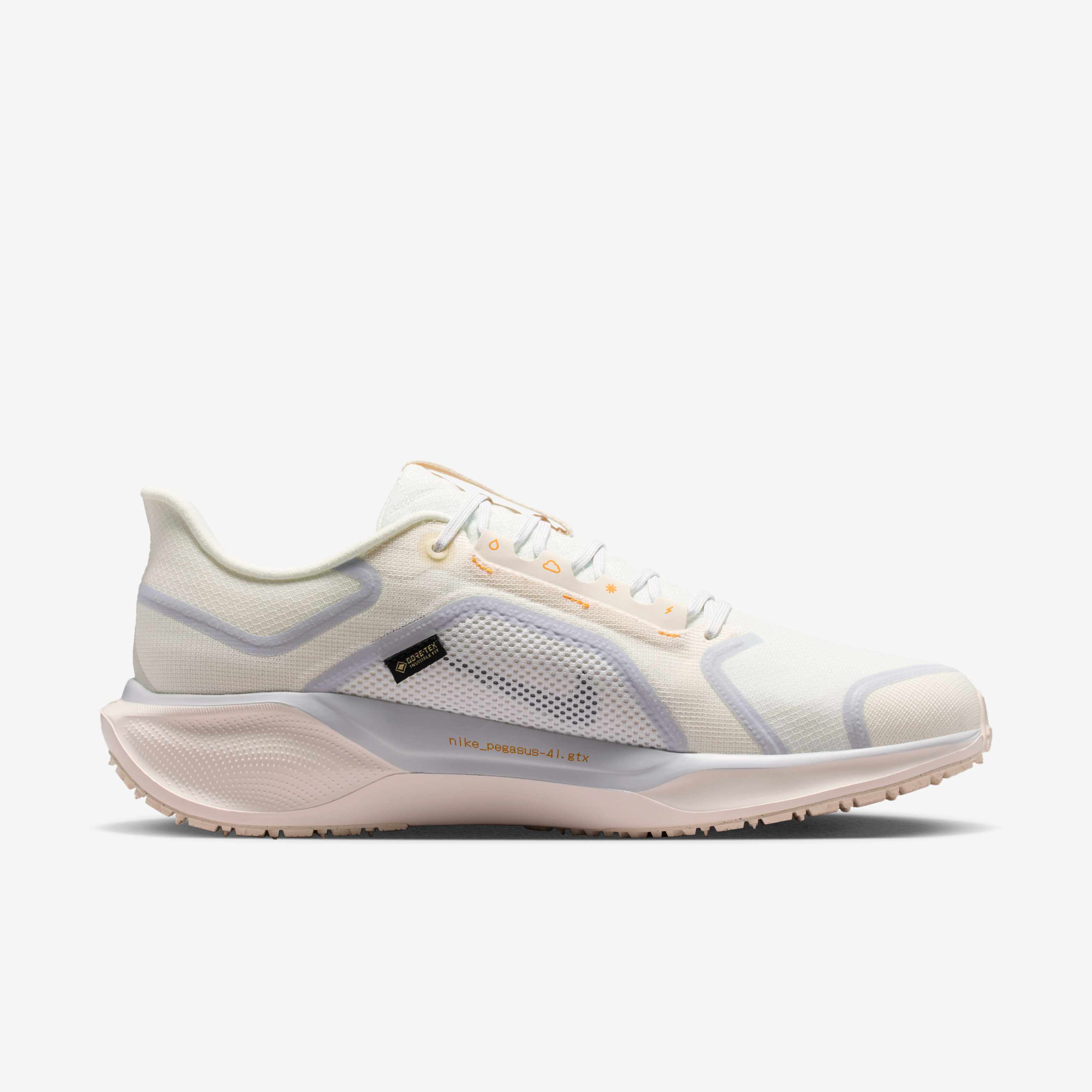 Nike Pegasus 41 GORE-TEX image number 2