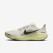 Nike Pegasus 41
