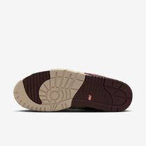 Nike SB Air Trainer 1