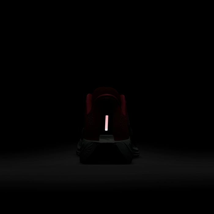 نايكي بيجاسوس بلس image number 9 نايكي بيجاسوس بلس image number 9