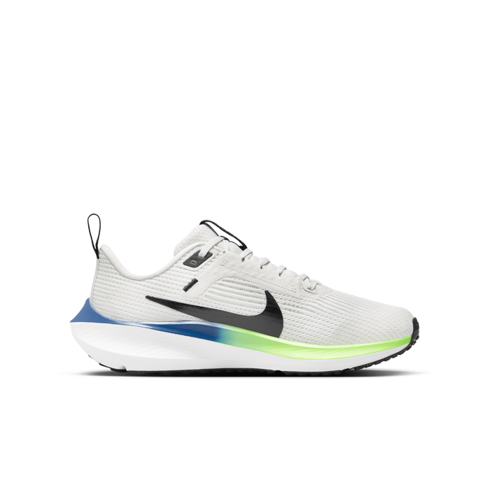 Nike air max online pegasus
