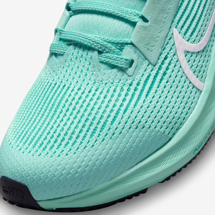 اير زووم بيجاسوس 40 image number 6 اير زووم بيجاسوس 40 image number 6