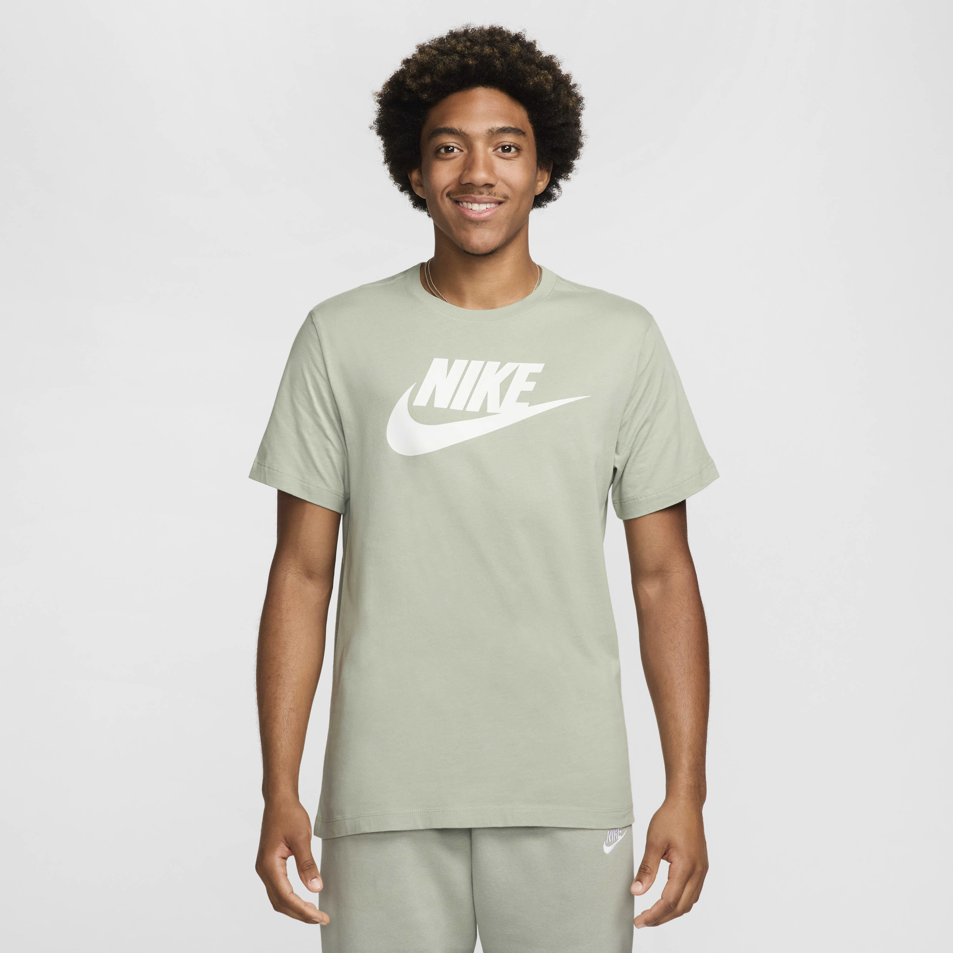 Nike the shirt online