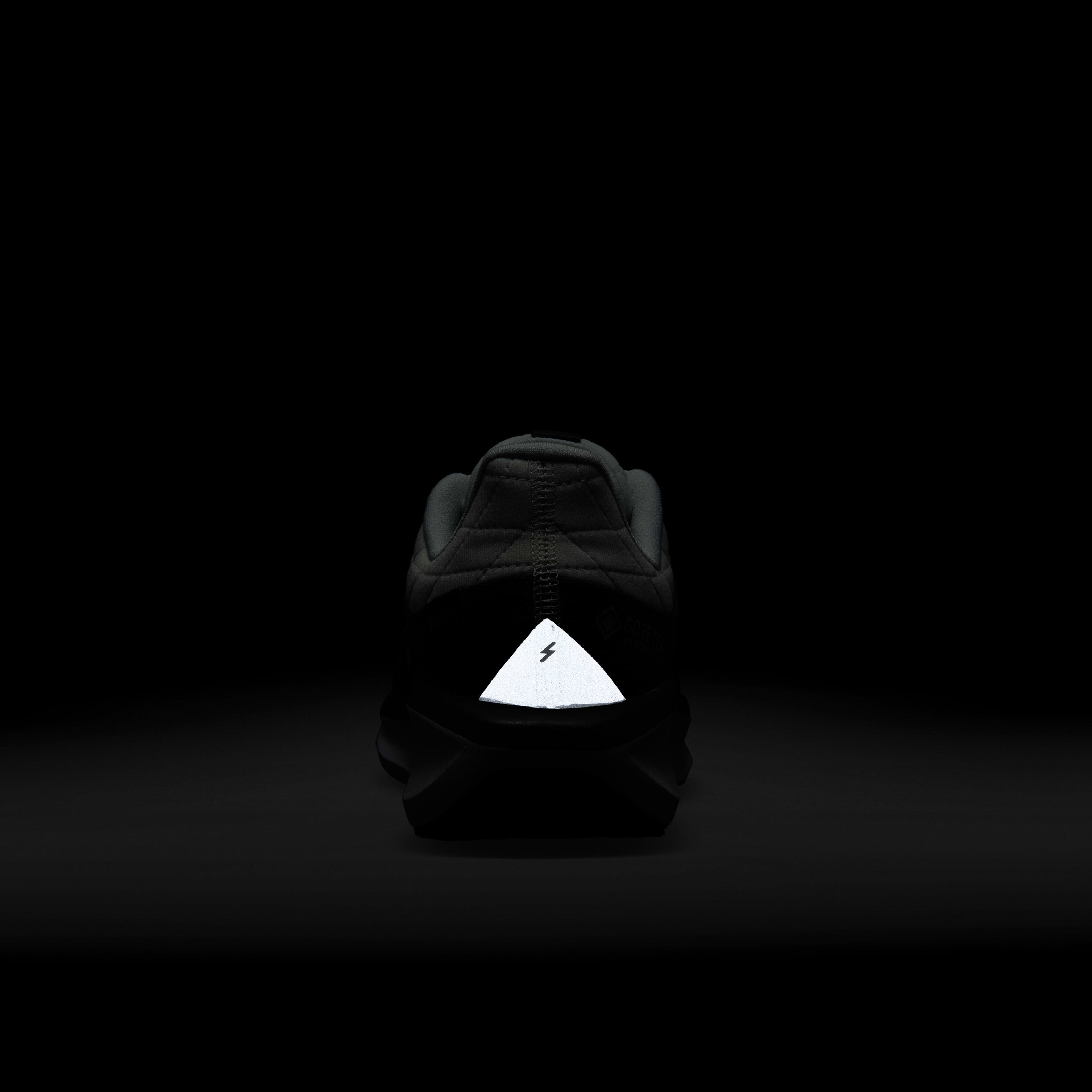 Nike Winflo 11 GORE-TEX image number 5