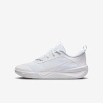Nike Omni Multi-Court