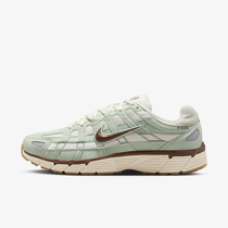 Nike P-6000 SE