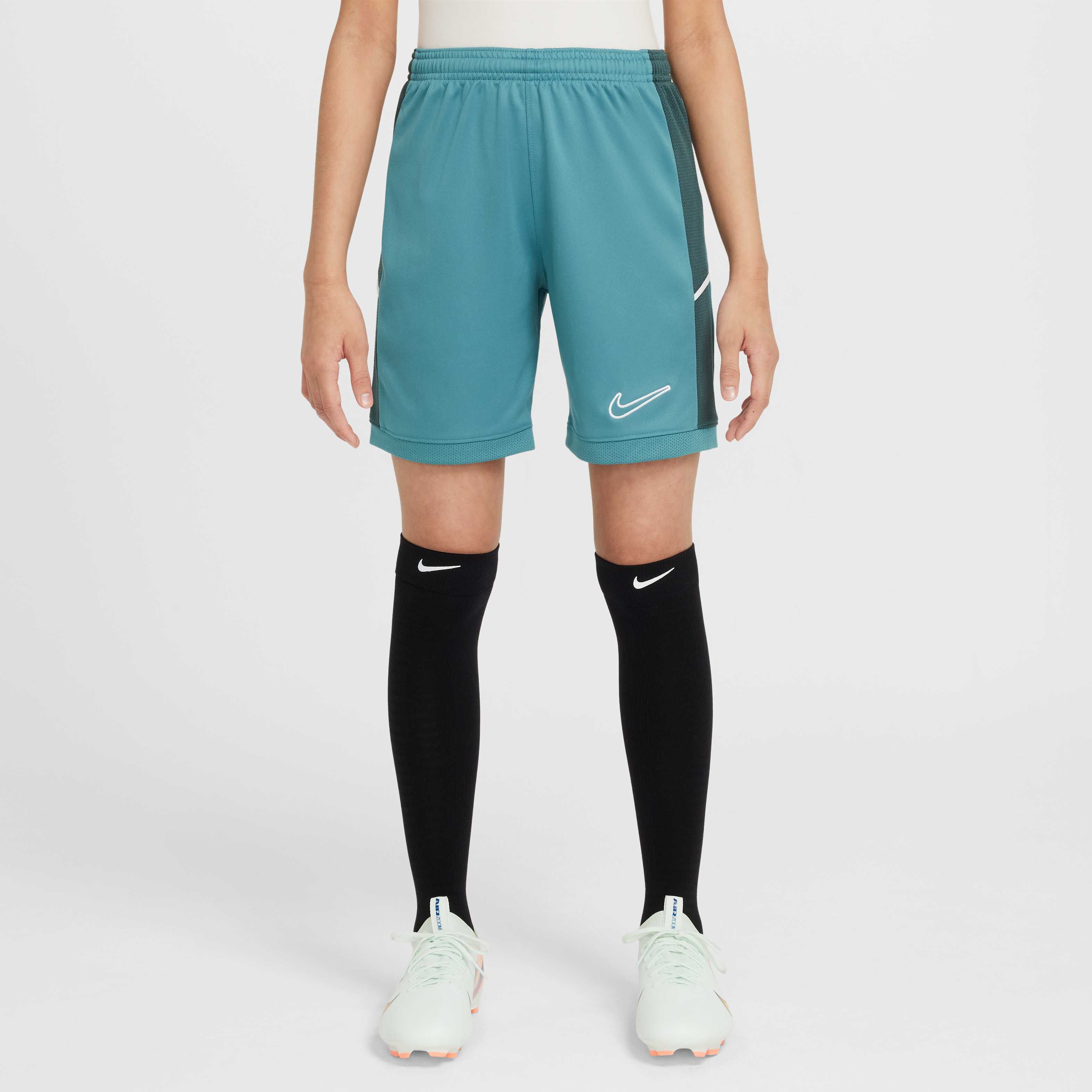 نايكي أكاديمي image number 0