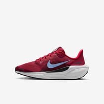 Nike Pegasus 41