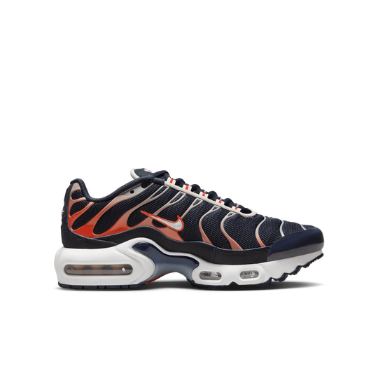 Nike Air Max Plus