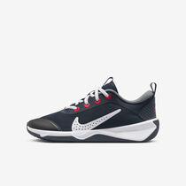 Nike Omni Multi-Court
