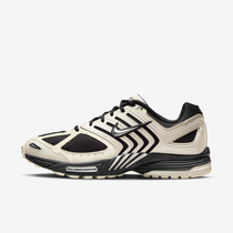 Nike Air Pegasus 2005