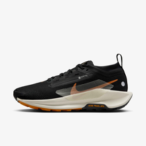 Nike Pegasus Trail 5 GORE-TEX
