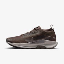 Nike Pegasus Trail 5 GORE-TEX