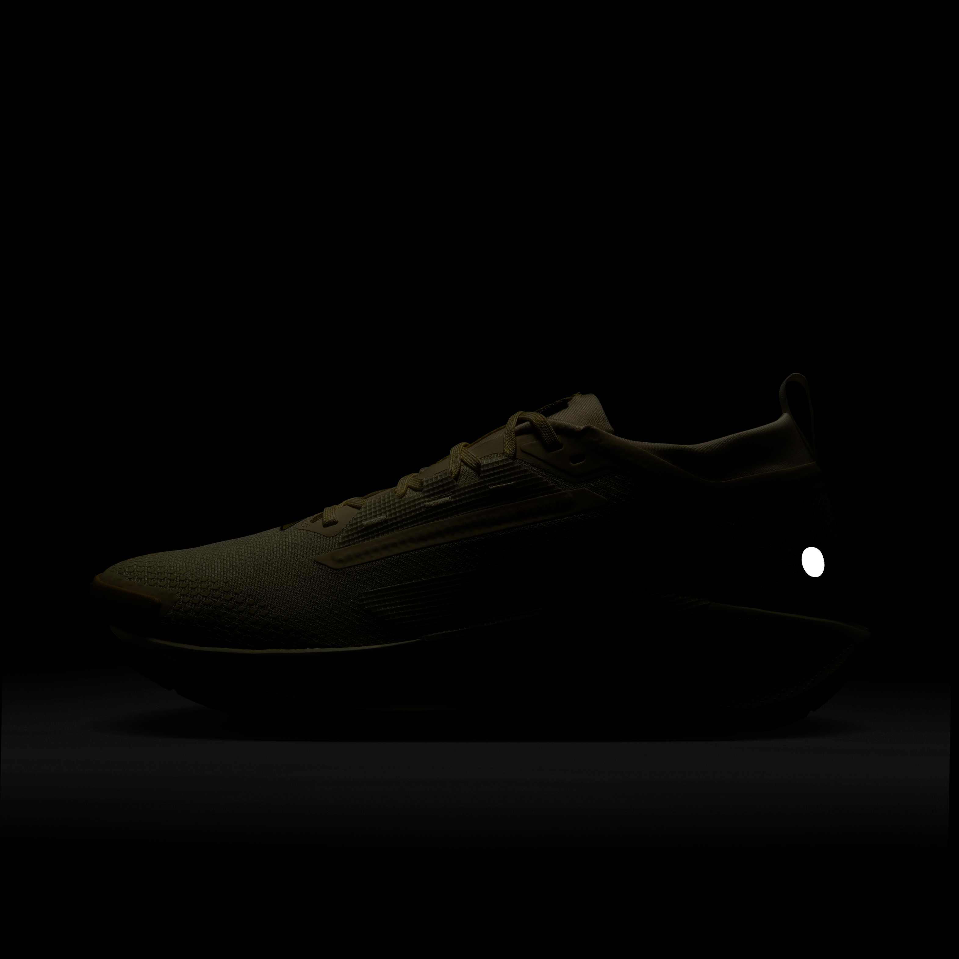 نايكي بيجاسوس تريل 5 جور-تكس image number 9