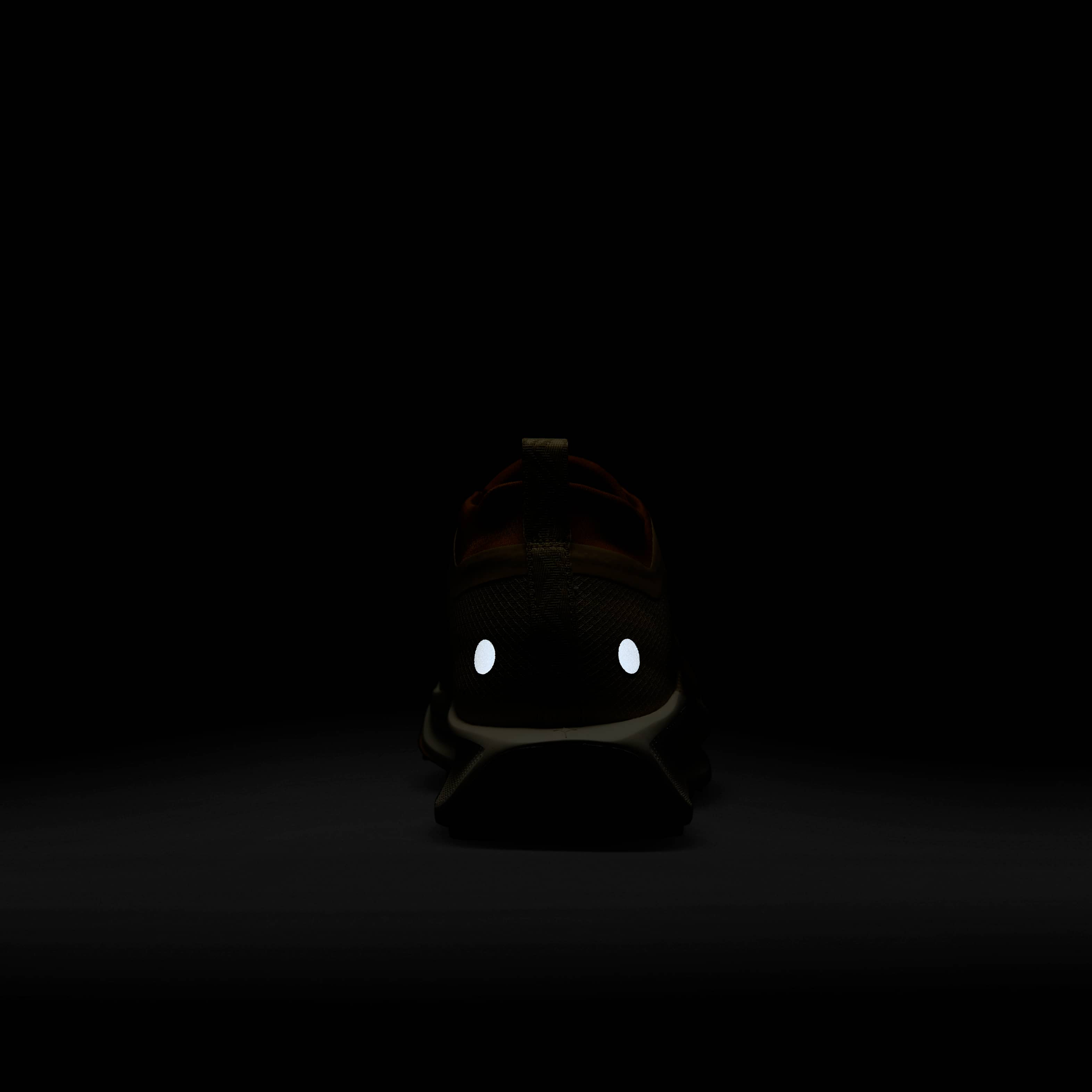 نايكي بيغاسوس تريل 5 جور-تكس SP image number 8