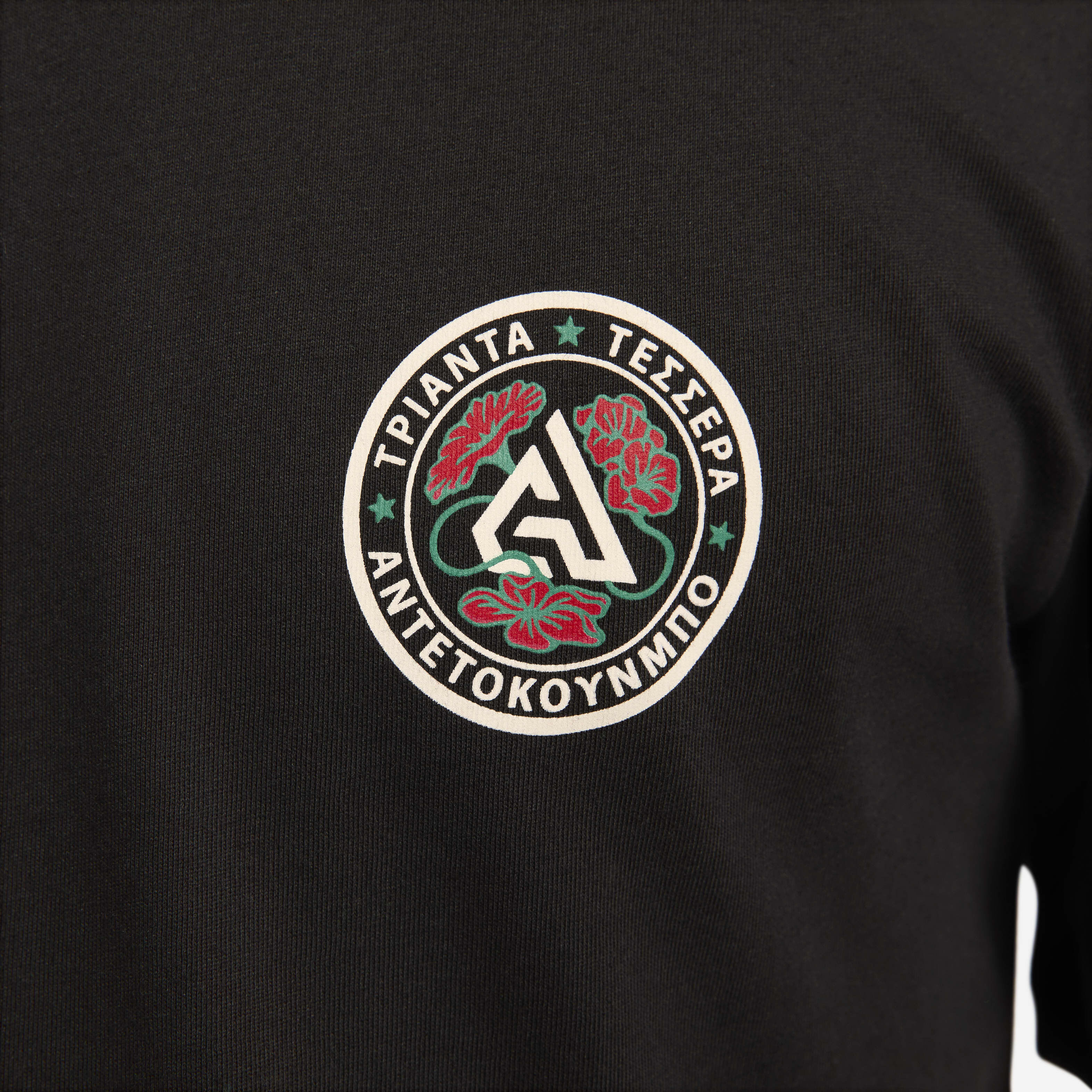 Giannis image number 3